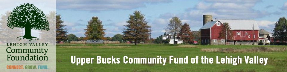 Upper Bucks Community Fund at LVCF Now Accepting Grant Applications