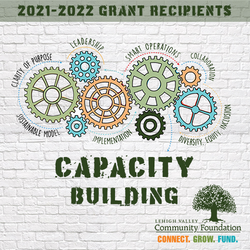 LVCF Renews Capacity Building Grants