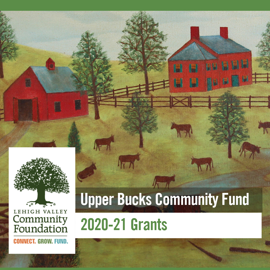Upper Bucks Community Fund