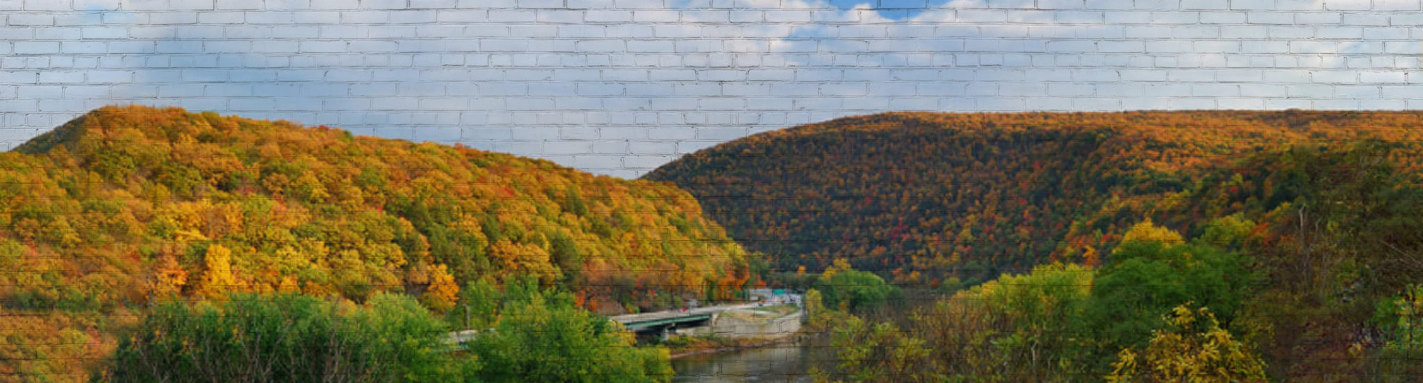 Charles & Ruth Marcon Lehigh Valley Community Foundation