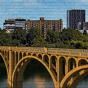 Bridge Fund for Critical Support